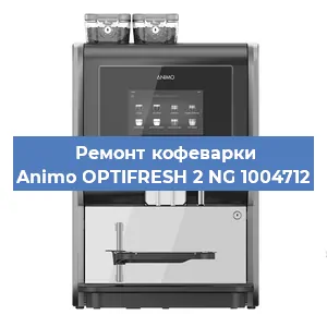 Чистка кофемашины Animo OPTIFRESH 2 NG 1004712 от накипи в Челябинске